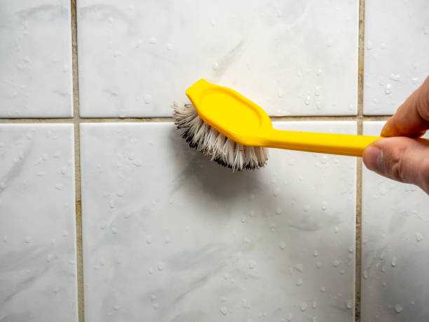 Best Fast Mold Removal  in Advae, NC
