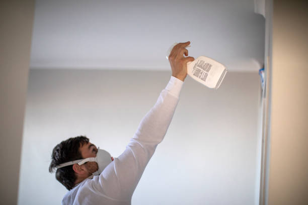 Best Mold Removal and Inspection  in Advae, NC