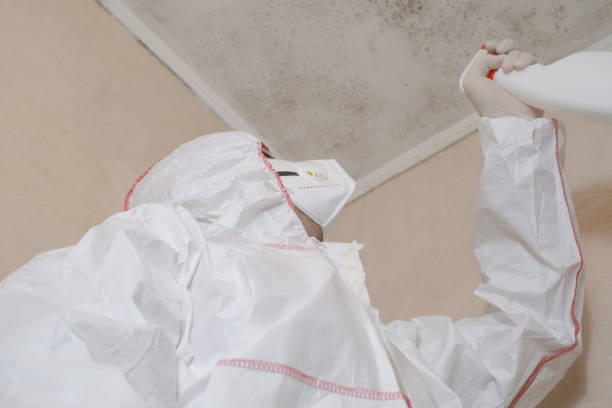 Best Professional Mold Removal  in Advae, NC