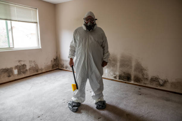 Best Crawl Space Mold Removal  in Advae, NC